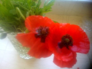 [flower]